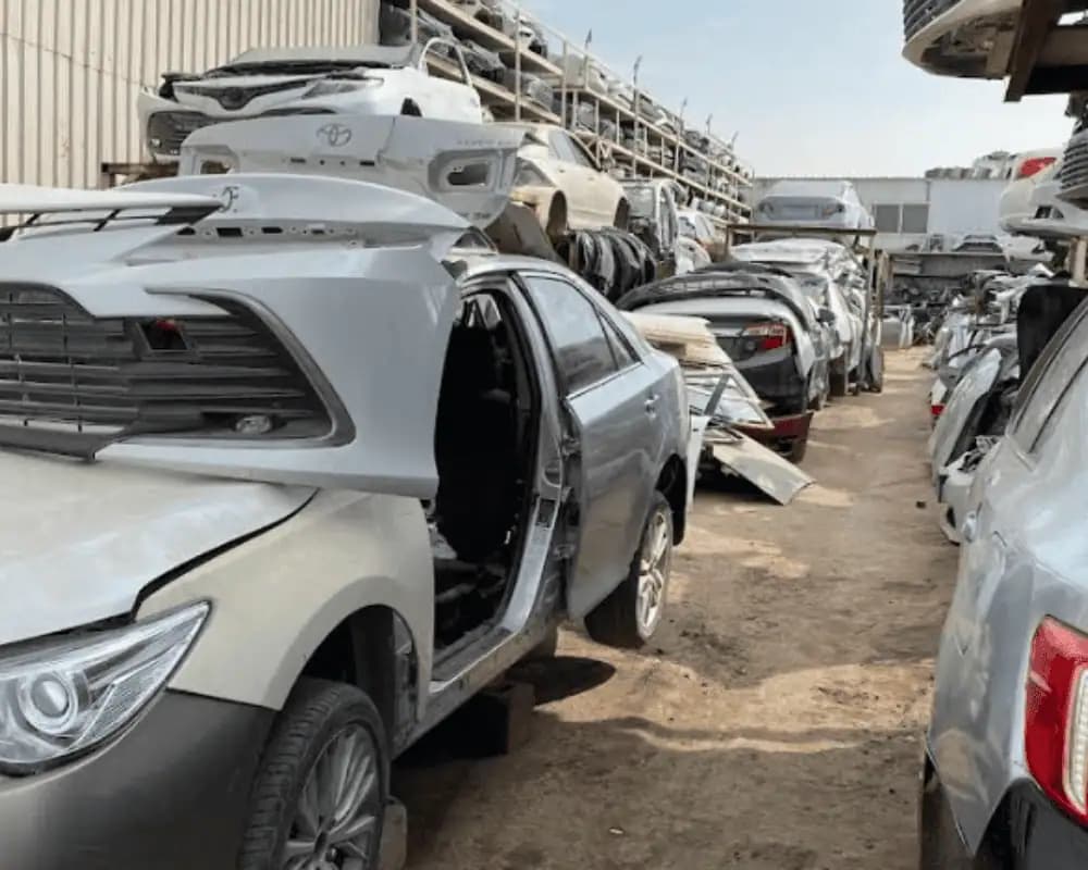 سكراب في الضجيج